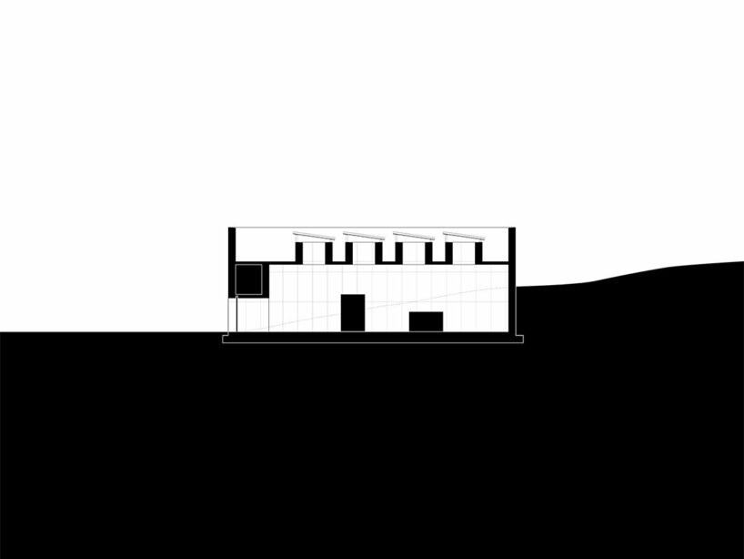 section